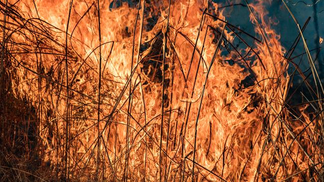 A Generic photo of a Dry Season Grass Fire in the Darwin Rural Area Picture: Glenn Campbell