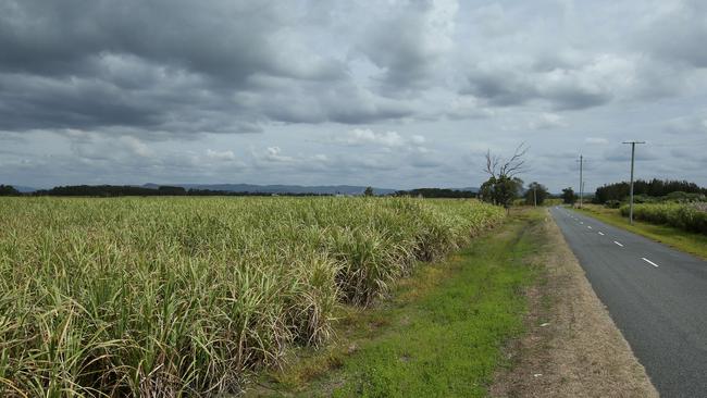 Jacobs Well area covered in sugar cane fields. Picture by Scott Fletcher.