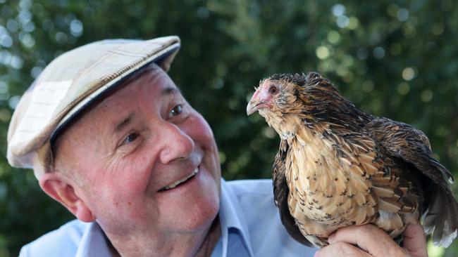 Better Homes And Gardens Dr Harry Cooper S Visit To Mt Annan To Cure Chooks To Screen On Tv Daily Telegraph