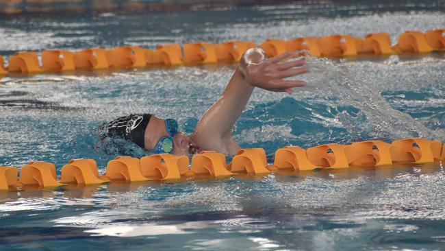 Beef City Swim Meet at 2nd World War Memorial Aquatic Centre, Rockhampton, on October 26, 2024. Photo: Pam McKay