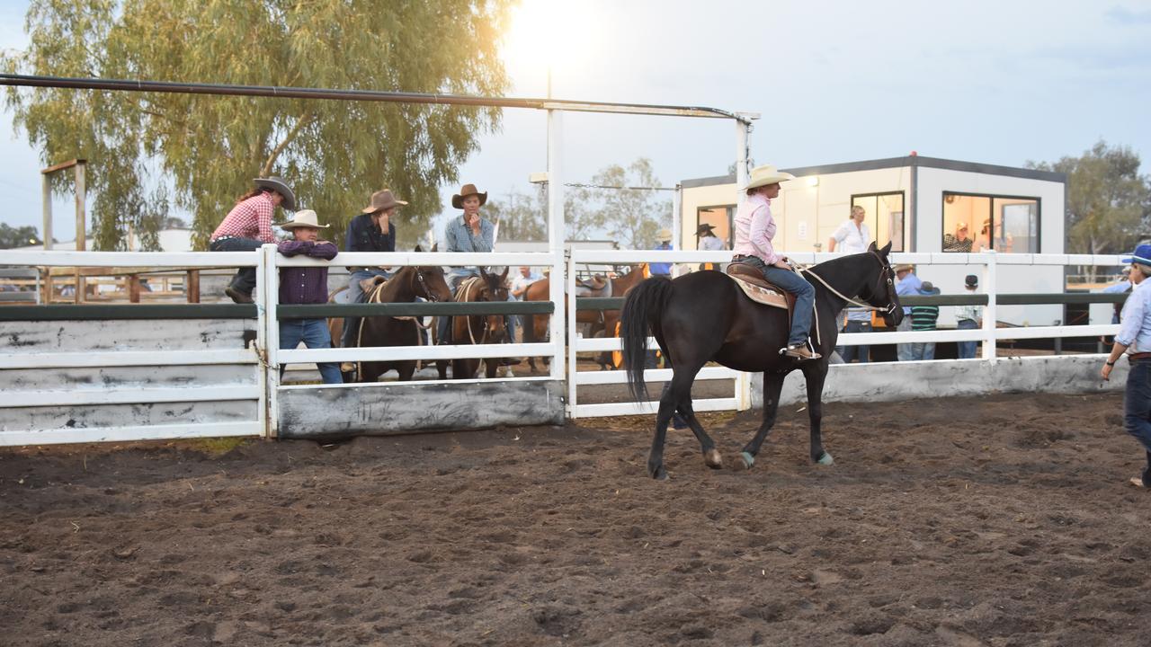 Friday night campdraft