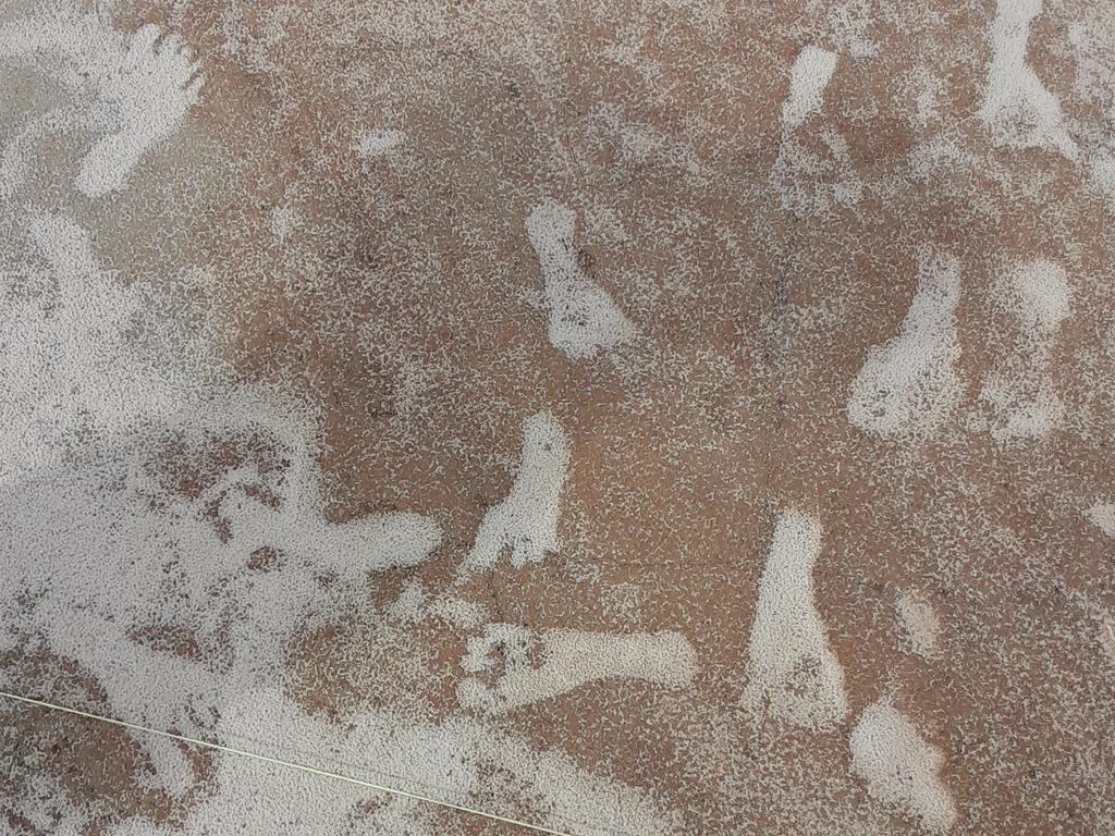 This photo from National Park Service shows fossilised human footprints found at White Sands national park in New Mexico. Picture: NPS