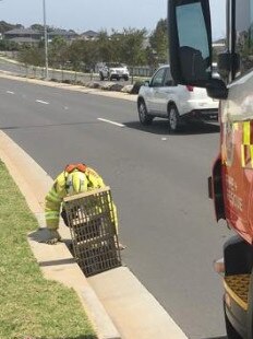 Corey Summerson starts climbing down into the drain. Picture: Fire and Rescue NSW