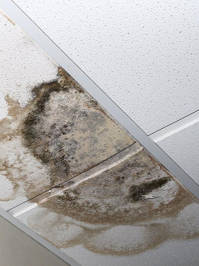 Mouldy ceilings at Bronte Surf life saving club. Picture: John Appleyard