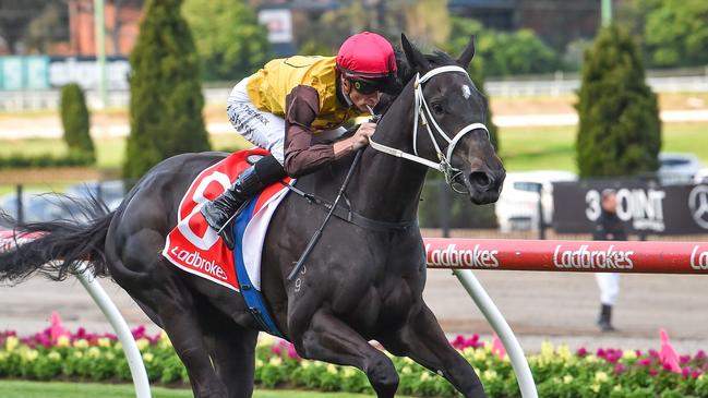 Foxy Cleopatra was an impressive winner at The Valley last start. Picture: Racing Photos via Getty Images