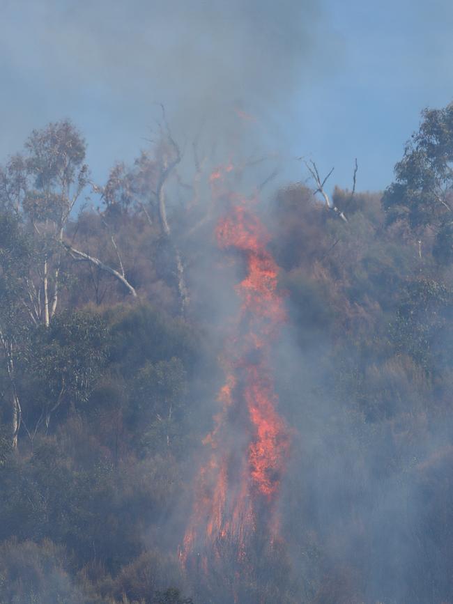 Bushfire in Dynnyrne threatening homes. Picture: Nikki Davis-Jones