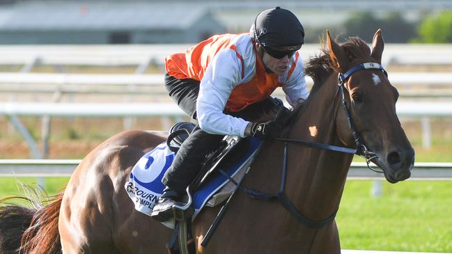 Vow And Declare will carry 61kg in the Willian Newton VC Handicap. Picture: AAP