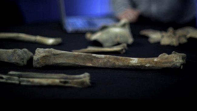 Bones of King Alfred the Great believed to have been found in a box at  Winchester City Museum, The Independent
