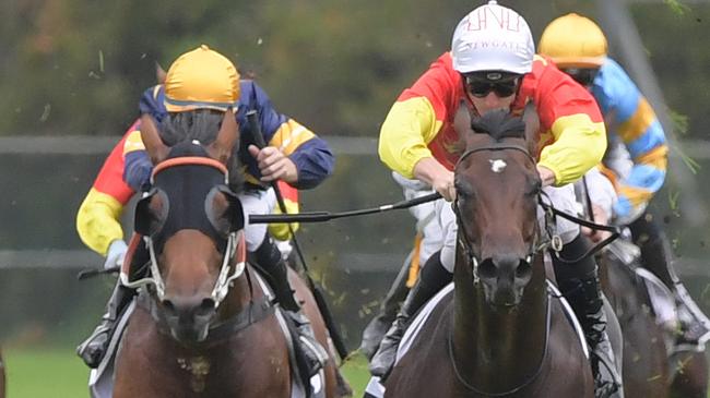 Cosmic Force (right) surged into Slipper favouritism after his win in the Pago Pago Stakes. Picture: AAP 