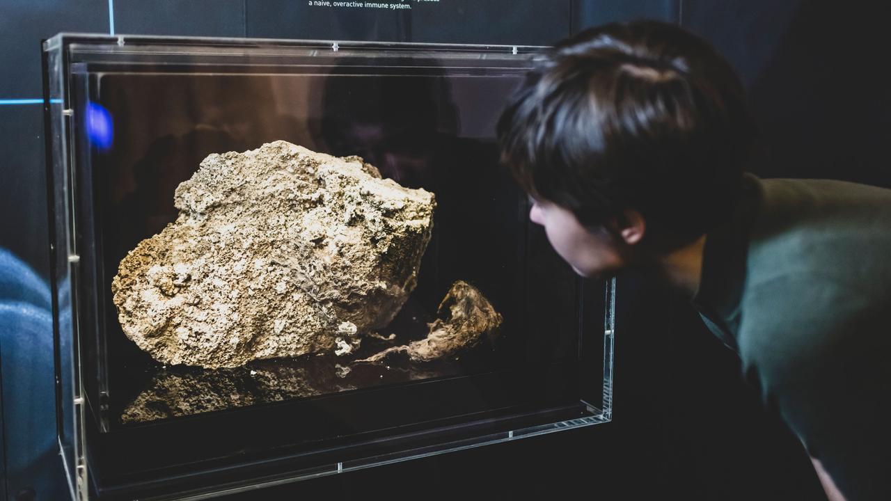 This fatberg is on display at Melbourne Museum.