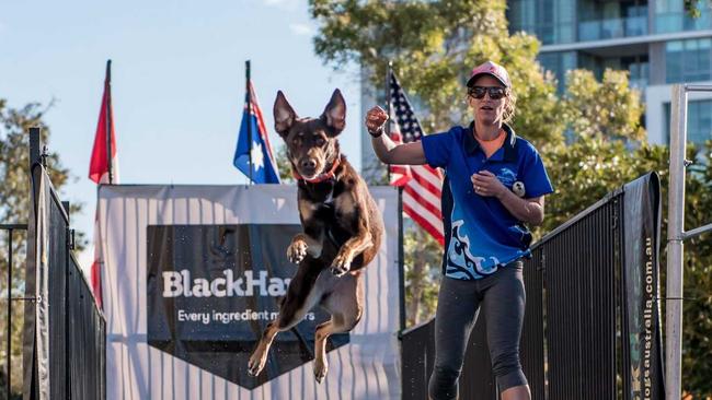 The Gold Coast Pet and Animal Expo is returning in 2019 for it&#39;s 17th year.