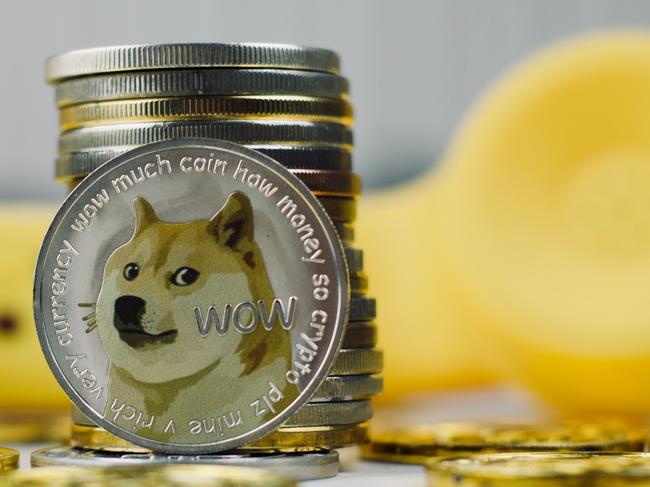 Doge act: How Ironside cops raided six-figure crypto stash