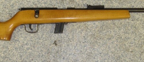 Johnson had a 0.22 calibre rifle that had been hidden in a guitar case. (File image)