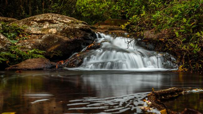 Moran Falls. Photo: Donna Sanchez @al_donna