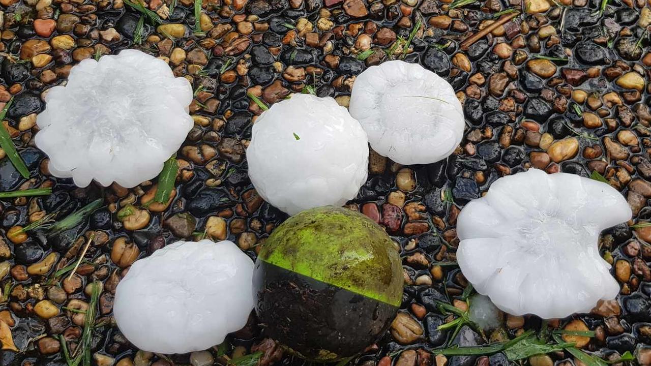 Hail stones in Wamberal on the NSW Central Coast.