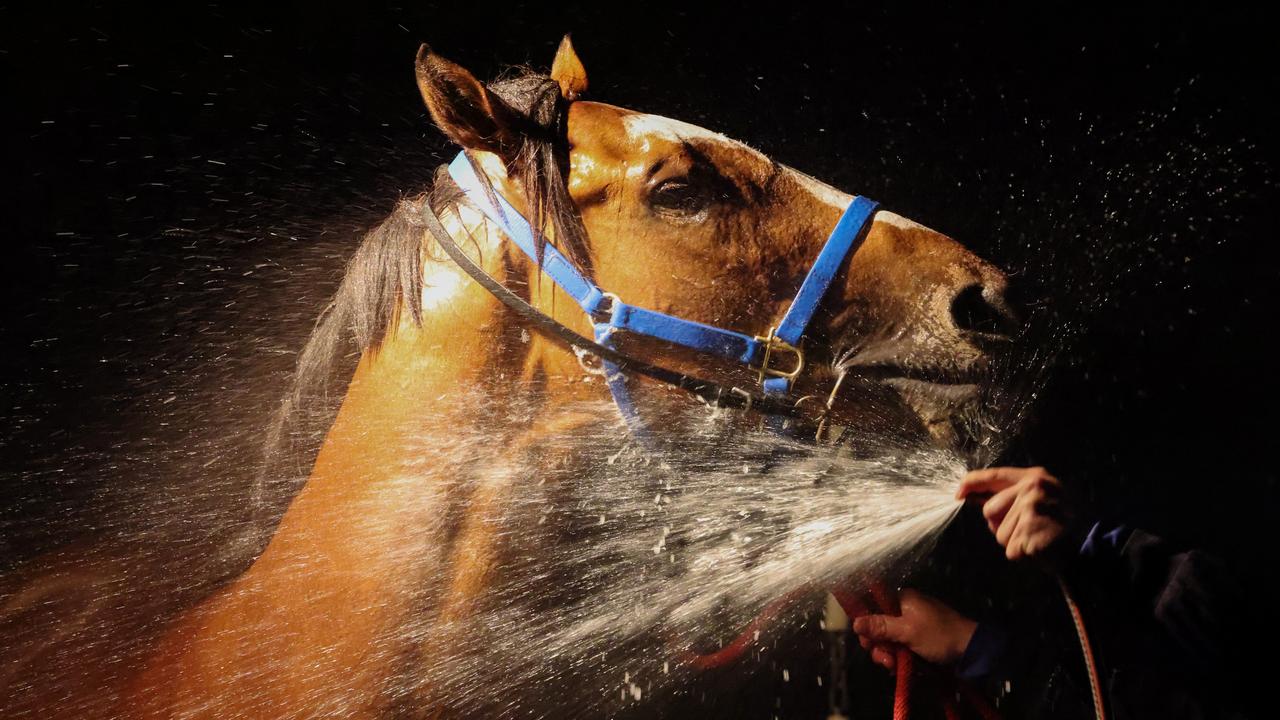 Caulfield trackwork