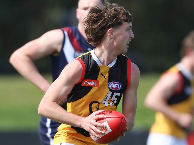 Elwood Peckett in action for the Stingrays. Picture: Rob Lawson/AFL Photos