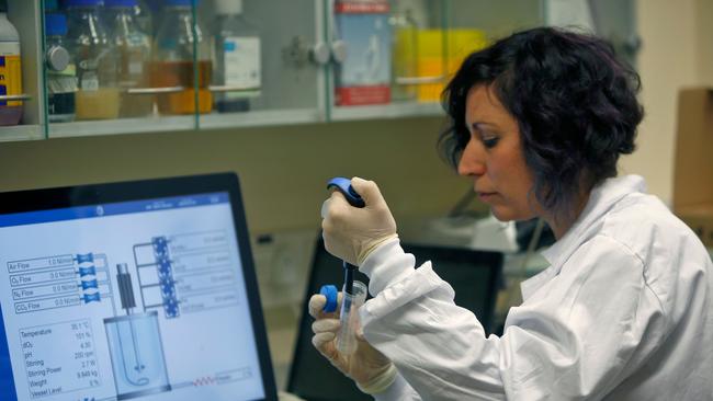 An Israeli scientist works at a laboratory at the MIGAL Research Institute in Kiryat Shmona in the upper Galilee in northern Israel. Picture: AFP