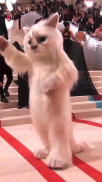 Jared Leto Wears a Giant Furry Cat Suit to the Met Gala