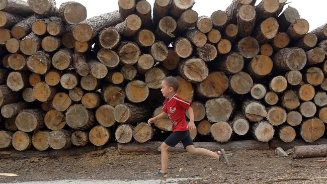 A boy runs past a pile of sawn timber at a plywood factory in Hefei, central China's Anhui province. Concerns have been raised banned Russian timber has been included manufactured products China is exporting to Australia. Picture: China Out/AFP