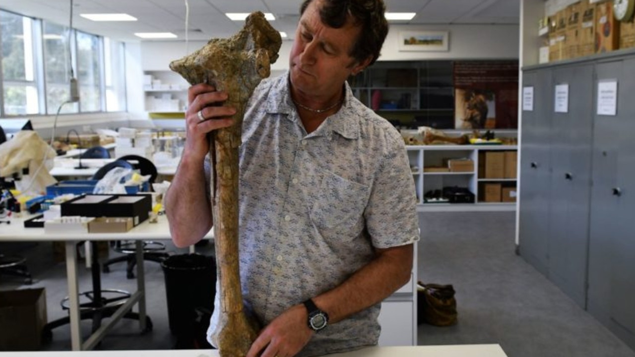 Palaeontology researcher Associate Professor Trevor Worthy with the Dromoni femur bone at Flinders University.