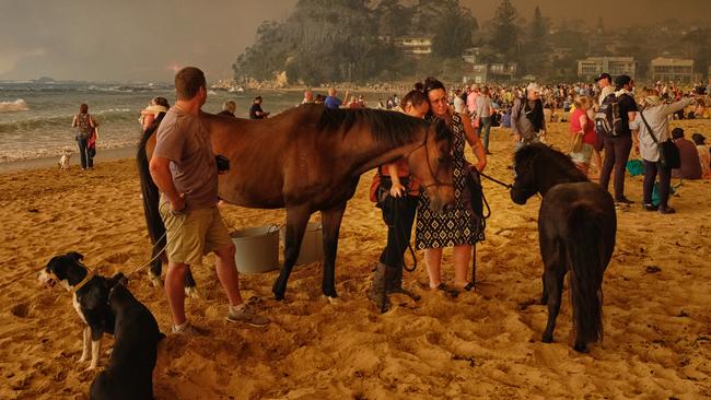 Locals shelter on Malua Bay beach on New Year’s Eve. Picture: Alex Coppel