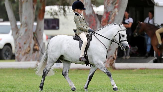 Pride of place: Rhylee Damaskinos and Woranora Selwyn at their first show together placed in several classes. Picture: Angie Rickard