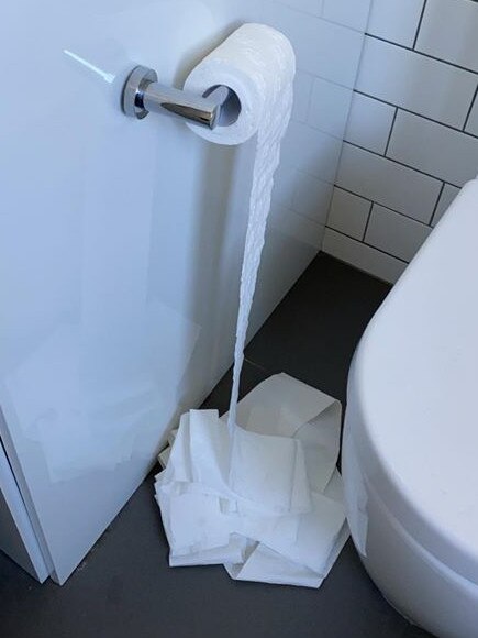 Not the toilet paper! It’s a domestic disaster! Picture: Jess Minear