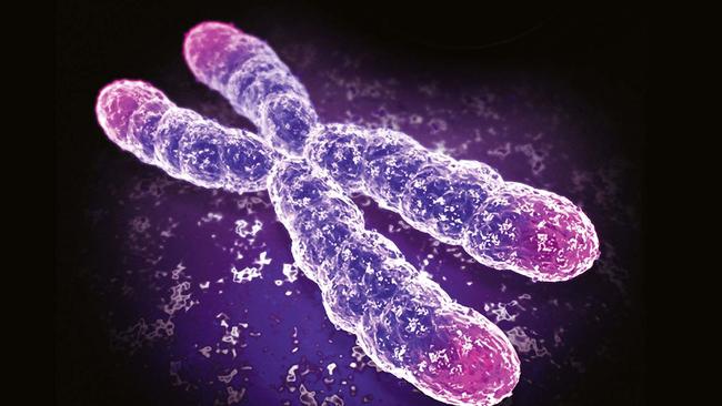 Ageing is due in part to the shortening of telomeres, the 'caps' at the end of our DNA strands.