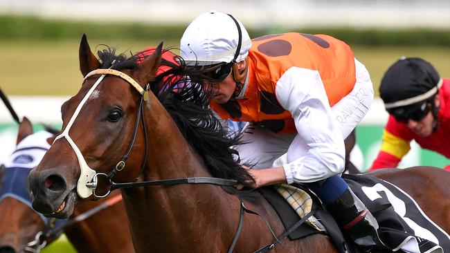 Bottega has trialled well heading into his return. Picture: AAP