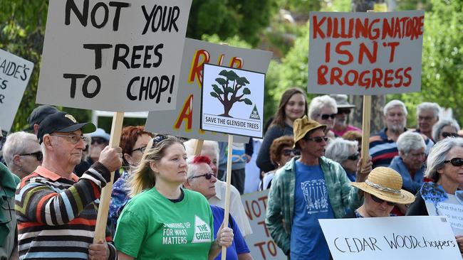 Protesters rally against the tree removal plan in February. Picture: Roger Wyman