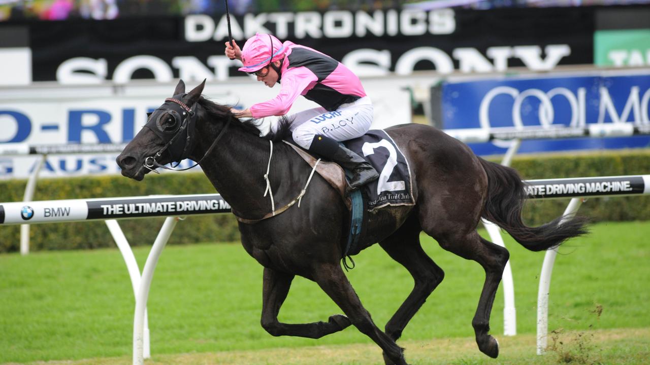 Apprentice Brodie Loy s bold tactics on Surpass lands Randwick