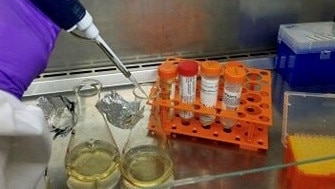 Vaccines are tested in a Queensland laboratory. Picture: Supplied