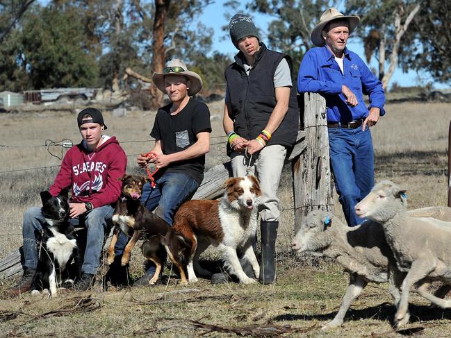 Bernie Shakeshaft with three of the boys he has mentored at the programs property "Warrah" where they train sheep dogs for work. Picture: Paul Mathews