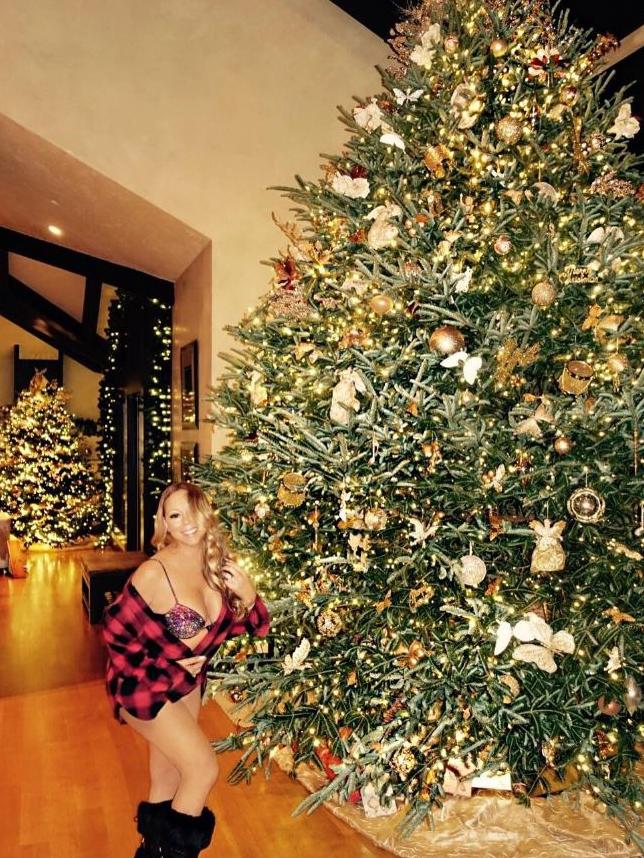 Mariah Carey ... “Getting into the Christmas spirit with this exquisite tree in a beautiful home for our family!” Picture: Instagram