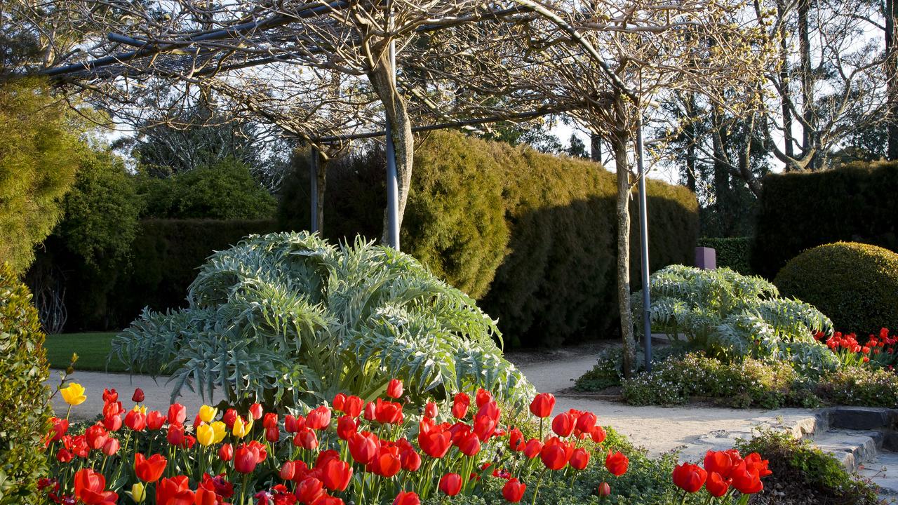 Colour abounds at the Royal Botanic Garden, Sydney.