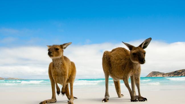 Australians are ready to explore the country once coronavirus restrictions are lifted. Picture: istock