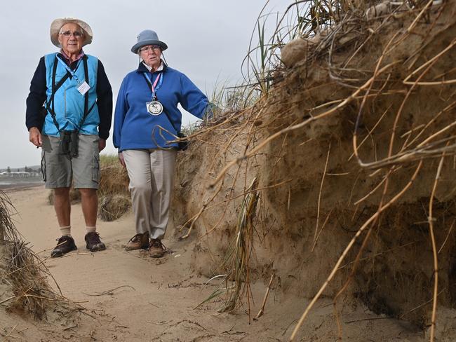 19/11/21. David and Sue Thorn of Victor Harbor, who volunteer to monitor the beach-nesting Hooded Plovers, are worried about coastal erosion, at Middleton. Sea wheat-grass is an introduced plant that causes the beach dunes to form sand cliffs, which are no good for beach-nesting birds that need a smoother run up from the water's edge to the safety of the dunes. Picture: Keryn Stevens