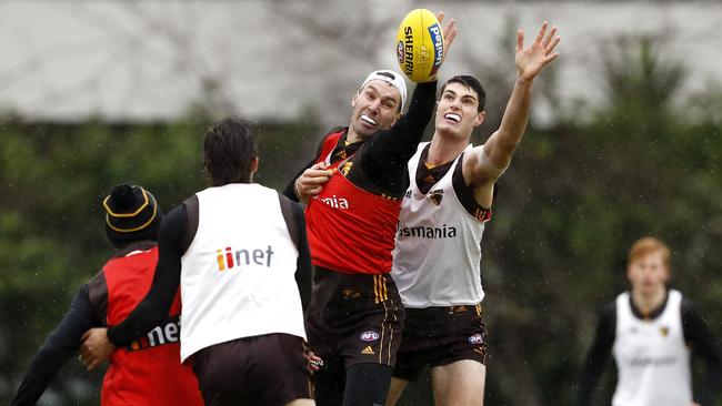 Will potential downgrade option Ned Reeves, right, return for the Hawks? Picture: Dylan Burns/AFL Photos