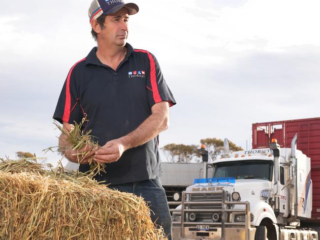Farmer Alex McGorman at his property in Angus Valley. 1 June 2025. Picture: Dean Martin