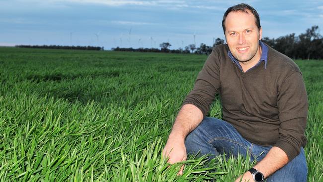 Victorian Farmers Federation president David Jochinke in a crop on his farm near Horsham. Picture: James Wagstaff