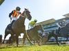 As the dust settles on The 2021 Everest O’Shea says it’s perfect