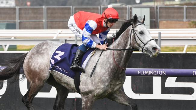 Berkshire Breeze is chasing a spot in the Melbourne Cup in The Bart Cummings on Saturday. Picture: Brett Holburt/Racing Photos via Getty Images