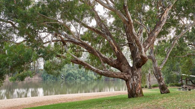 Wagga is an ideal location for a tree-change for Sydneysiders. Picture: Michael Frogley