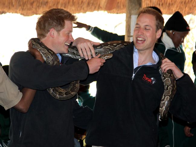 The brothers hold an African rock python during a visit to Mokolodi Education Centre in Botswana in 2010. Picture: Getty Images