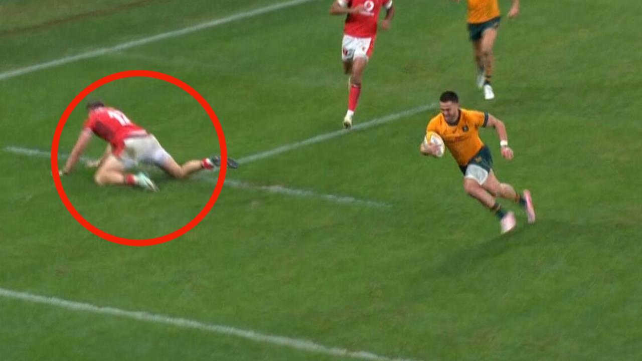 Aussie humiliates rival as new Wallabies boss exacts revenge
