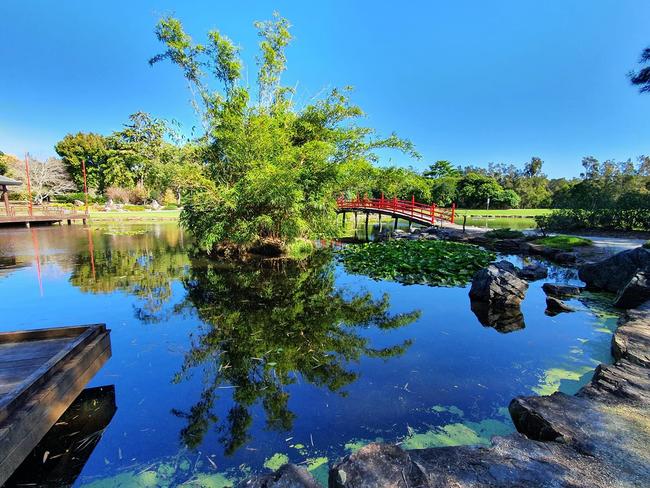 North Coast Regional Botanic Garden. Sandra Spence