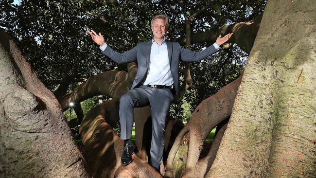 Melbourne City councillor Arron Wood with the city's most valuable tree, a Moreton Bay fig in Fawkner Park valued at $1.7 million. Picture: Mark Stewart