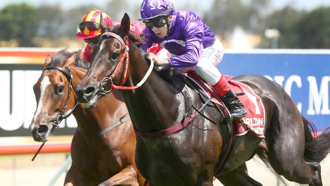 Horse racing on the Gold Coast. Winner race 3, number 1, Jumbo Prince, Jockey Luke Tarrant. Pic Jono Searle.