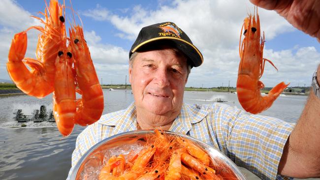 Noel Herbst, of Gold Coast Tiger Prawns. The farmers have made a stunning comeback after their prawns were wiped out by white spot disease in 2017.